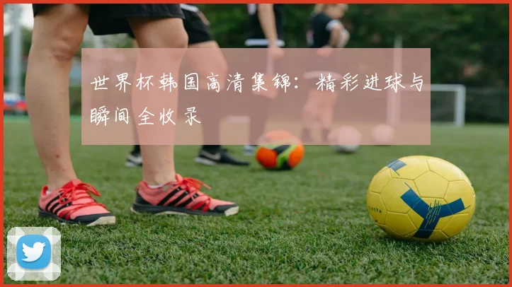 世界杯韩国高清集锦：精彩进球与瞬间全收录