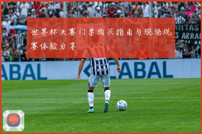 世界杯决赛门票购买指南与现场观赛体验分享