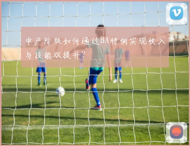 中产阶级如何通过BA特例实现收入与技能双提升？